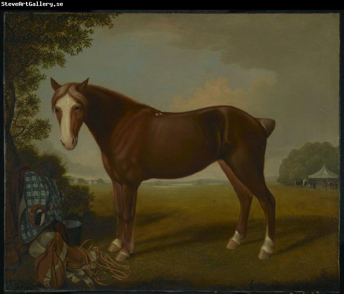 unknow artist Portrait of a Horse